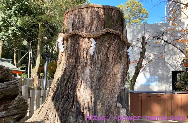 生田神社の楠の御神木