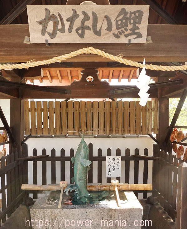 北野天満神社のかない鯉