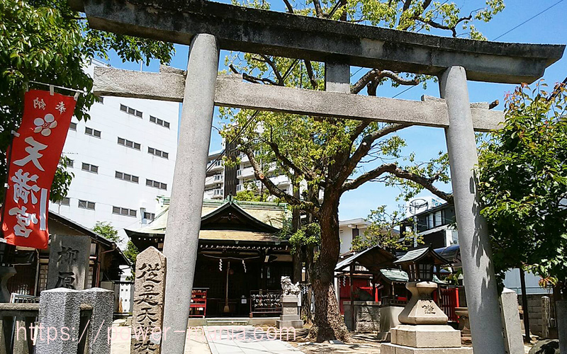 鳥居を斜めから