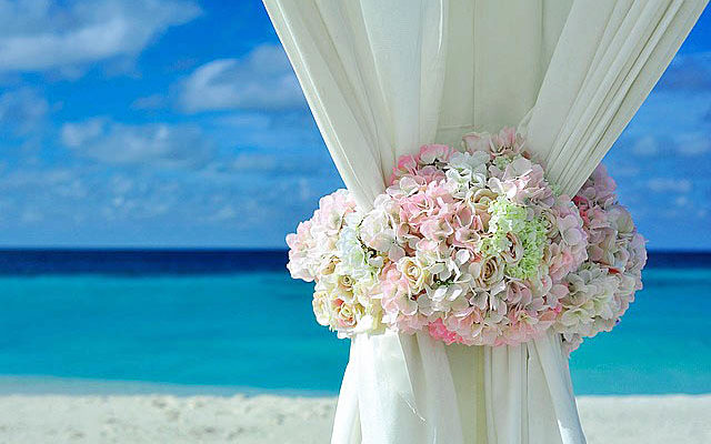 ブルーの海と恋のイメージの花