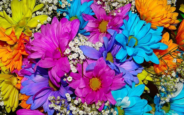カラフルな色の花