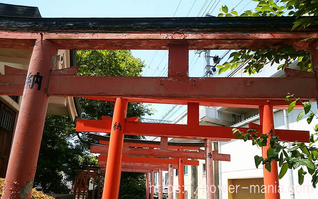 船寺神社の稲荷神社の鳥居を斜めから見たところ