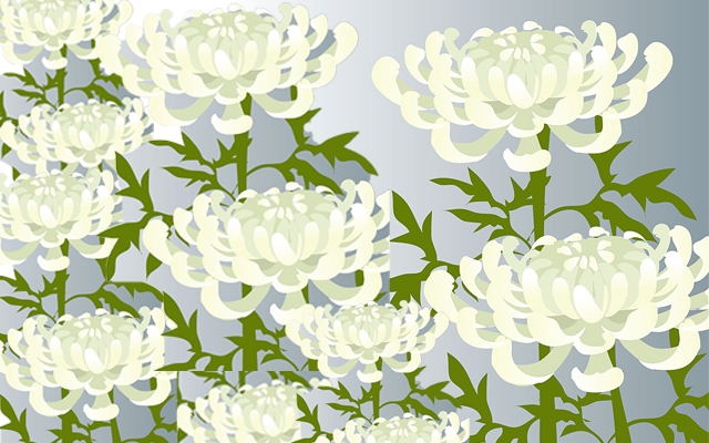 喪中のイメージ・白菊のイラスト