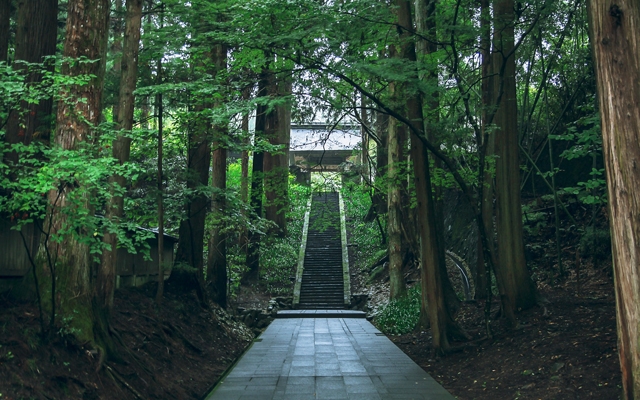 パワースポット・お寺
