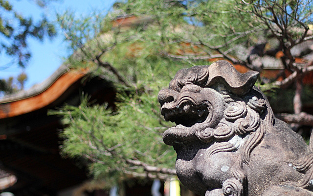 大将軍八神社・狛犬