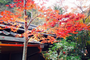貴船神社・紅葉