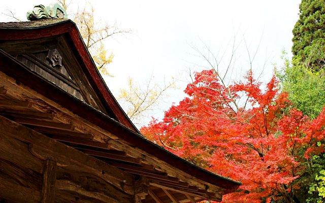 清水寺境内の紅葉