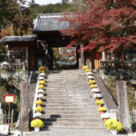 修禅寺の参道