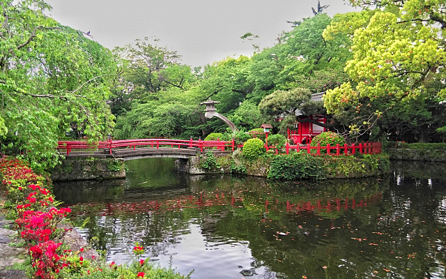 三嶋大社の神池