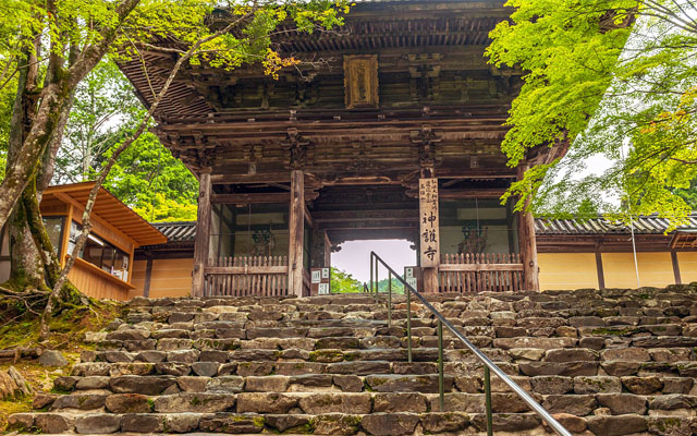 神護寺の三門