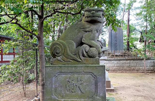 世田谷招魂神社の左側の狛犬