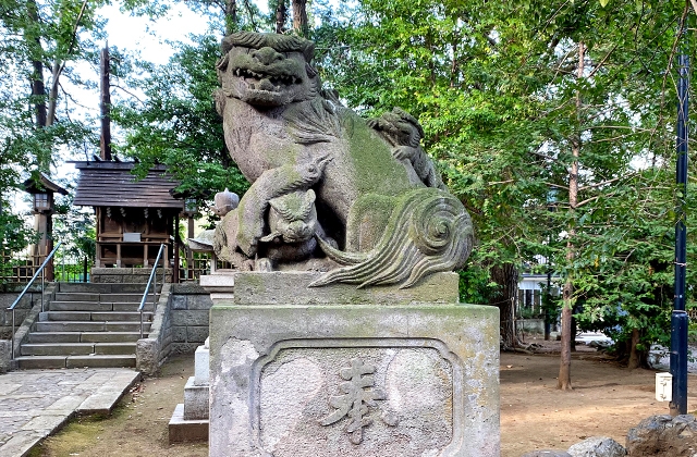 世田谷招魂神社の右側の狛犬
