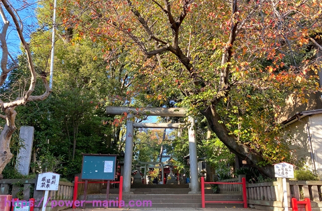 六所神社の一の鳥居の前の木